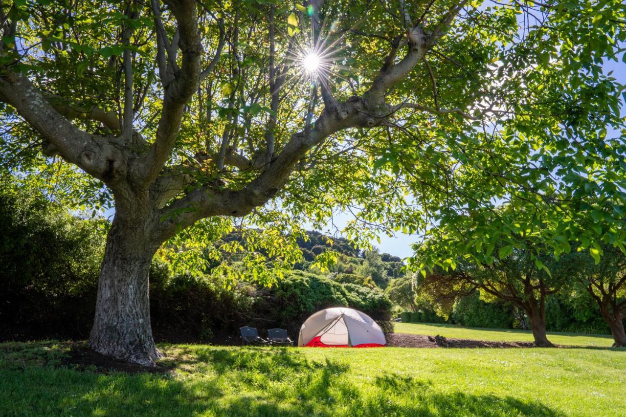 Akaroa Top 10 Holiday Park Exterior foto